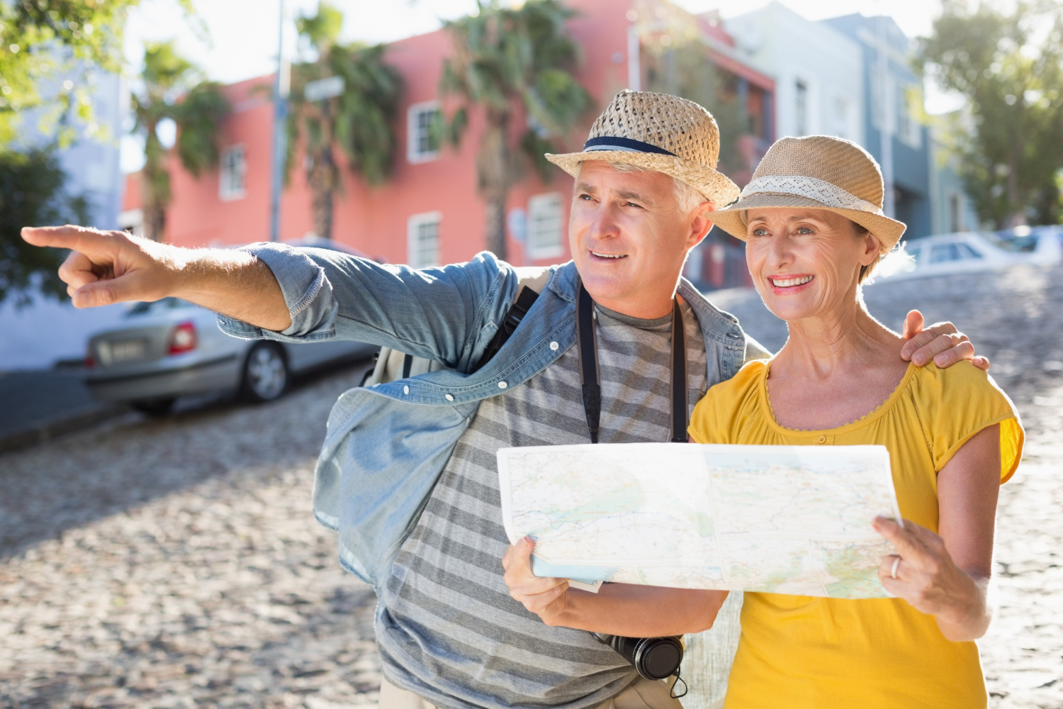 Travel companions for seniors ,travel companion elderly