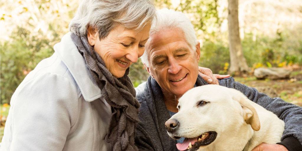 Pet Ownership: Benefits For Older Adult